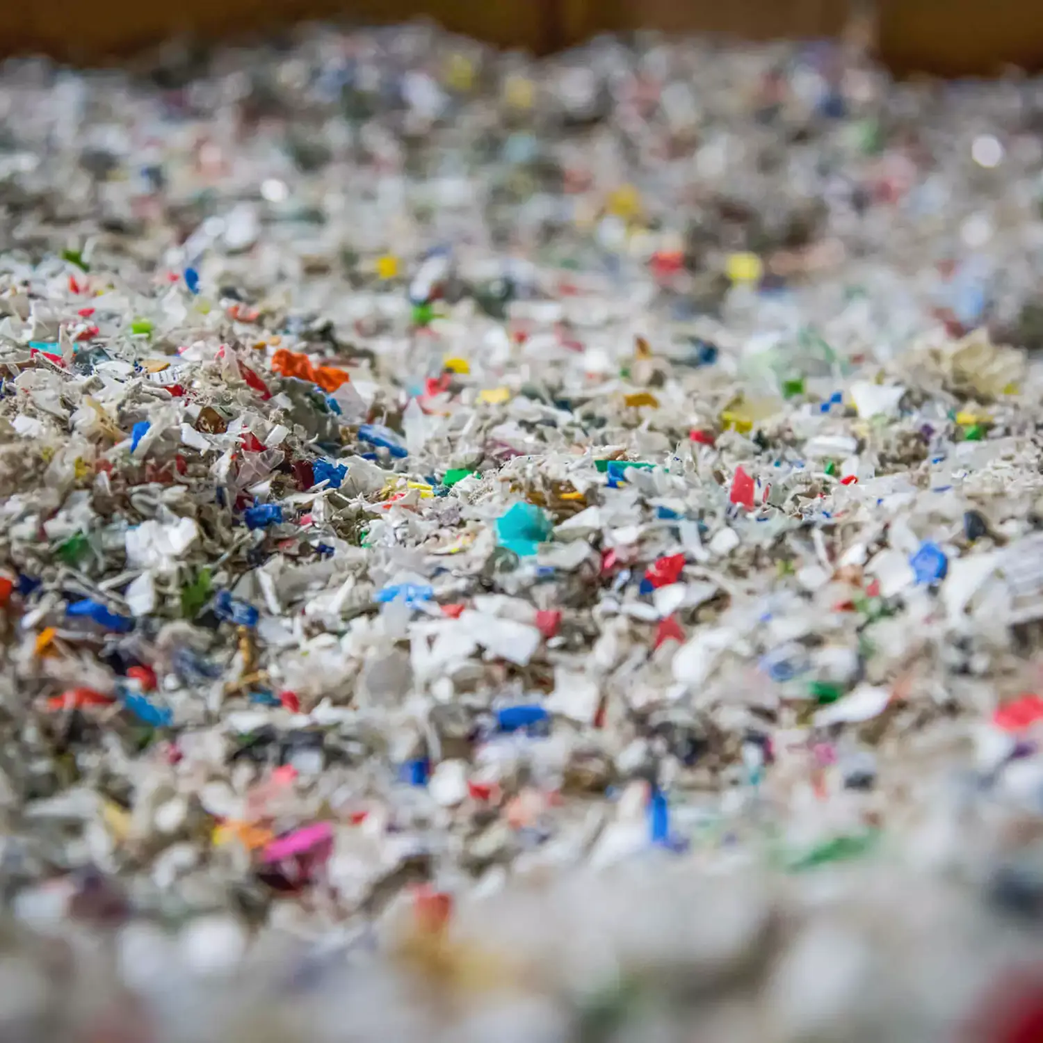 plastiche monouso